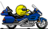 :motorbikej: